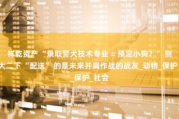 祥乾资产 “录取警犬技术专业 = 预定小狗?” 别急,大二下 “配送” 的是未来并肩作战的战友_动物_保护_社会