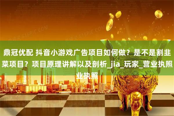 鼎冠优配 抖音小游戏广告项目如何做？是不是割韭菜项目？项目原理讲解以及剖析_jia_玩家_营业执照